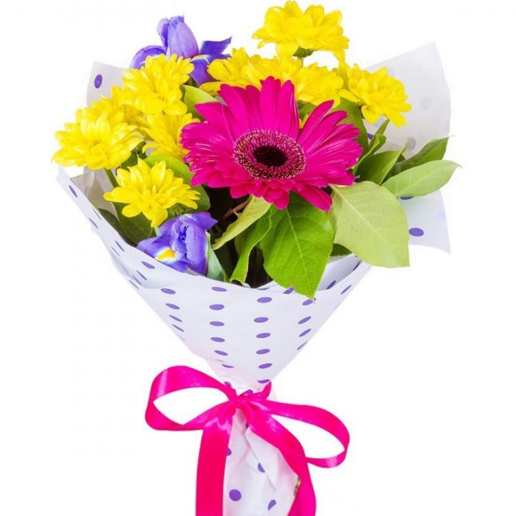 Радость от 3 669 руб.